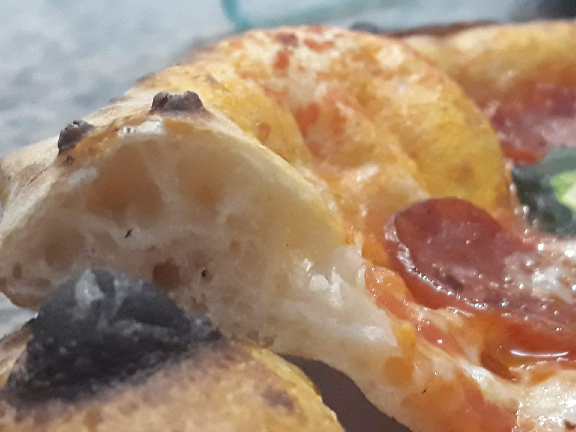 Pizza ben Alveolata